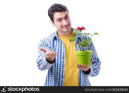 Gardener florist with a flower in a pot isolated on white backgr. Gardener florist with a flower in a pot isolated on white background