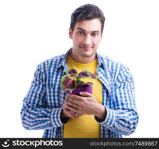 Gardener florist with a flower in a pot isolated on white background. Gardener florist with a flower in a pot isolated on white backgr