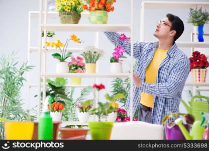 Gardener florist working in a flower shop with house plants