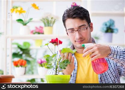 Gardener florist working in a flower shop with house plants