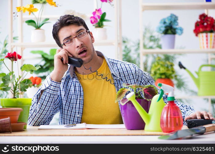 Gardener florist working in a flower shop with house plants