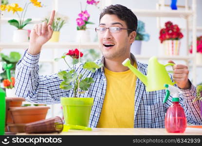 Gardener florist working in a flower shop with house plants