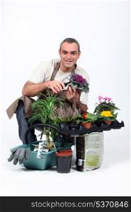 Gardener knelt by plants