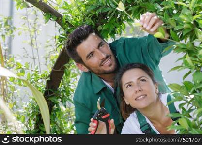 gardener showing woman how to cut the leaves