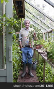 Gardener stands in greenhouse holding potplant