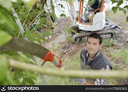 Gardener using long handled saw to prune tree