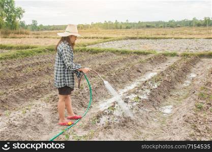 Gardener woman watering vegetables in her garden