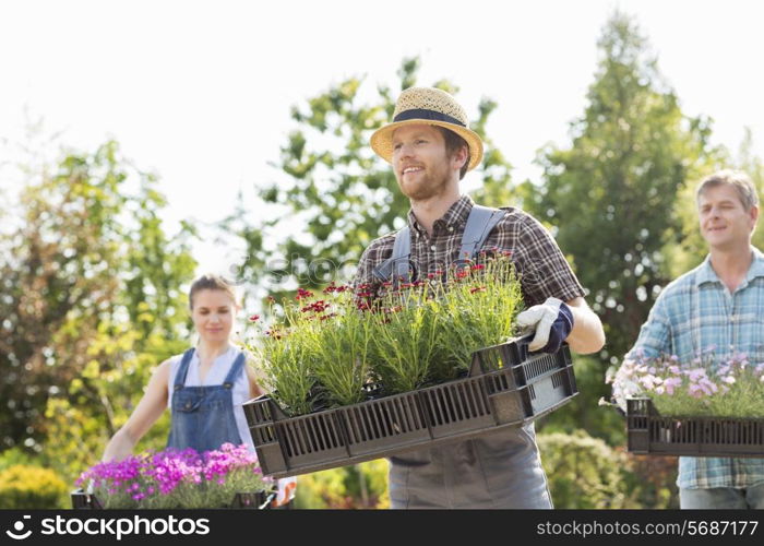 Gardeners carrying flower pots in crates at garden