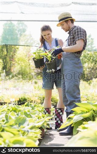 Gardeners discussing over potted plants at garden
