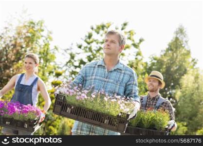 Gardeners looking away while carrying crates with flower pots at garden