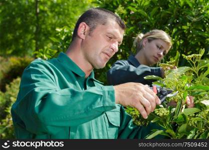 gardeners man and woman working outdoors
