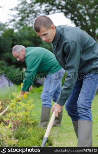 gardeners working with shovel in garden