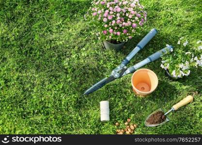 gardening and people concept - garden tools, flower pot and bulbs on grass at summer. garden tools, flower pot and bulbs on grass