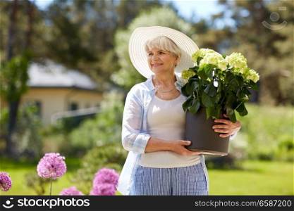 gardening and people concept - happy senior woman holding pot with white hydrangea flowers at summer garden. old woman with hydrangea flower at summer garden