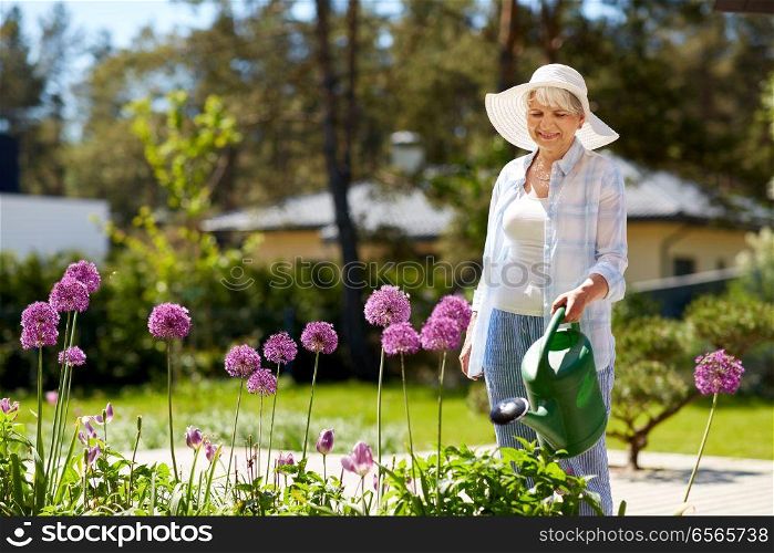 gardening and people concept - happy senior woman watering allium flowers at summer garden. senior woman watering allium flowers at garden