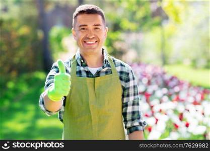 gardening and people concept - happy smiling middle-aged man in apron showing thumbs up at summer garden. happy man in apron showing thumbs up at garden