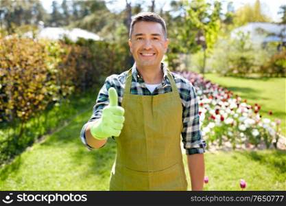 gardening and people concept - happy smiling middle-aged man in apron showing thumbs up at summer garden. happy man in apron showing thumbs up at garden