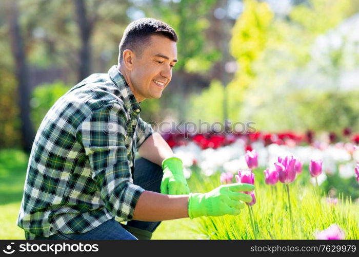 gardening and people concept - happy smiling middle-aged man taking care of flowers at summer garden. happy man taking care of flowers at garden