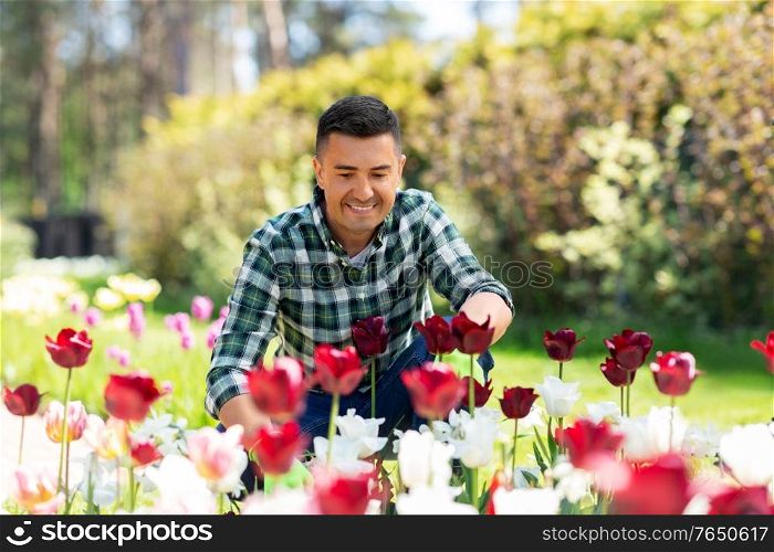 gardening and people concept - happy smiling middle-aged man taking care of flowers at summer garden. middle-aged man taking care of flowers at garden
