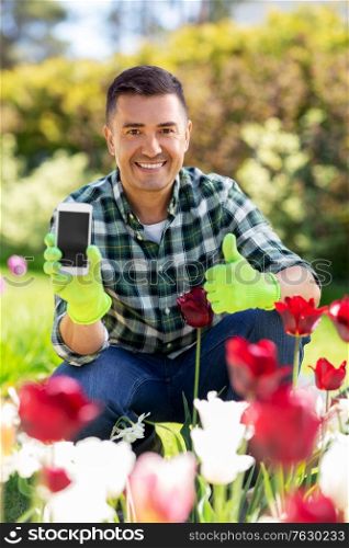 gardening and people concept - happy smiling middle-aged man with smartphone and flowers showing thumbs up at summer garden. man with phone showing thumbs up at flowers garden