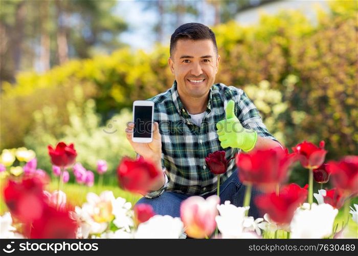 gardening and people concept - happy smiling middle-aged man with smartphone and flowers showing thumbs up at summer garden. man with phone showing thumbs up at flowers garden
