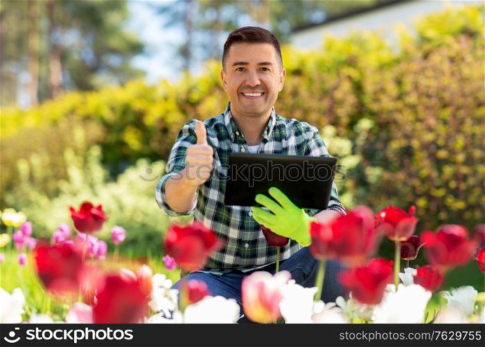 gardening and people concept - happy smiling middle-aged man with tablet pc computer and flowers showing thumbs up at summer garden. man with tablet pc and flowers at summer garden