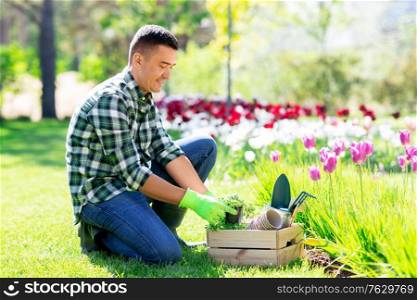 gardening and people concept - happy smiling middle-aged man with tools in box taking care of flowers at summer garden. middle-aged man with tools in box at summer garden