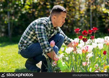 gardening and people concept - middle-aged man taking care of flowers at summer garden. middle-aged man taking care of flowers at garden