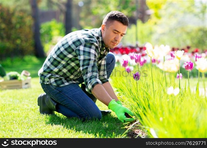 gardening and people concept - middle-aged man taking care of flowers at summer garden. man taking care of flowers at garden