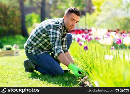 gardening and people concept - middle-aged man taking care of flowers at summer garden. man taking care of flowers at garden