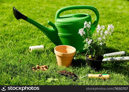 gardening and people concept - watering can, garden tools, flower pot and bulbs on grass at summer. watering can, garden tools and flower at summer