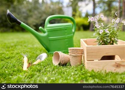 gardening and people concept - watering can, garden tools, pots and flowers in wooden box at summer. garden tools and flowers in wooden box at summer