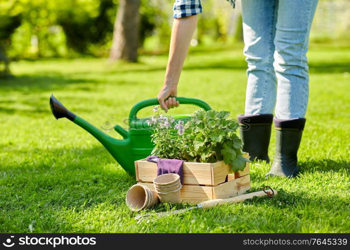 gardening and people concept - woman with watering can, garden tools and flowers in wooden box at summer. woman with garden tools in wooden box at summer