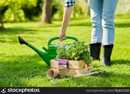 gardening and people concept - woman with watering can, garden tools and flowers in wooden box at summer. woman with garden tools in wooden box at summer