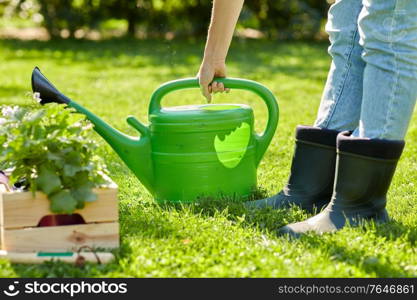 gardening and people concept - woman with watering can, garden tools and flowers in wooden box at summer. woman with garden tools in wooden box at summer