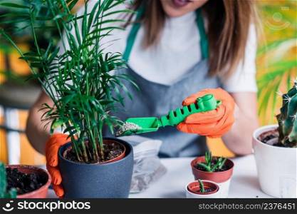 Gardening and Planting at Home