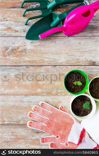 gardening and planting concept - close up of seedlings, garden tools and gloves on table