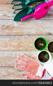 gardening and planting concept - close up of seedlings, garden tools and gloves on table