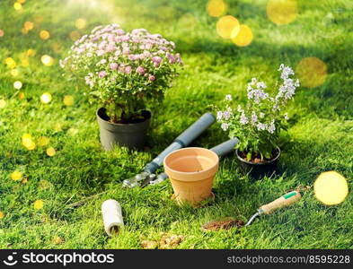 gardening and planting concept - garden tools, pots and flowers on grass at summer. garden tools and flowers on grass at summer