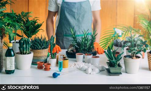 Gardening at Home for Stress Relief during Lockdown