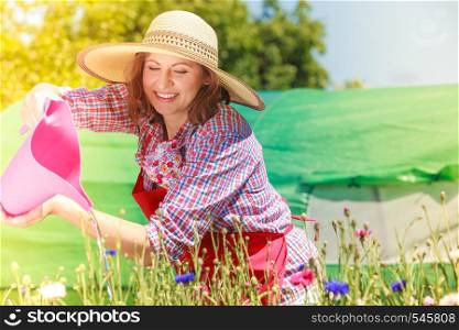 Gardening. Attractive woman in hat red apron working in her backyard garden watering flowers outdoor