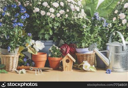 Gardening background with birdhouse, gardening utensils, potted flowers , plants and watering can. Front view.
