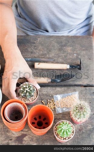 Gardening cactus in pot plant on wooden table