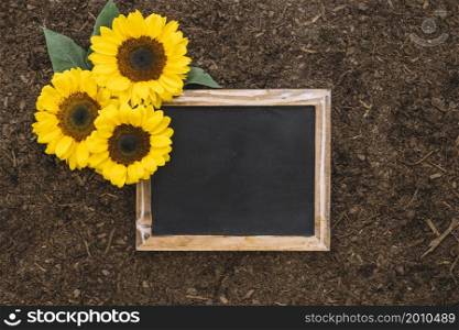 gardening composition with sunflowers blank slate