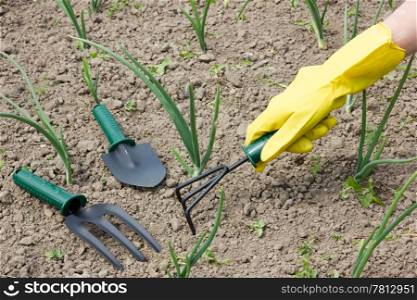 gardening concept. female hand in a glove with garden tool