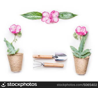 Gardening concept frame with garden tools and flowers in pots on white background, top view