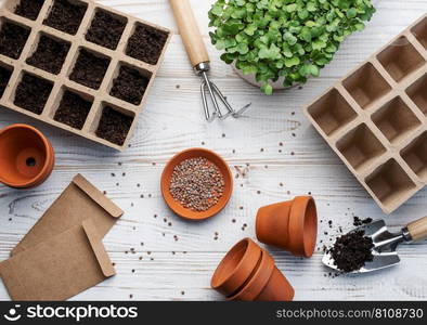 Gardening concept, planting at home.  Set of gardening tools and supplies for sowing seeds