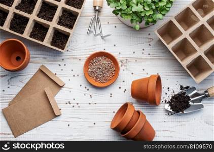 Gardening concept, planting at home.  Set of gardening tools and supplies for sowing seeds