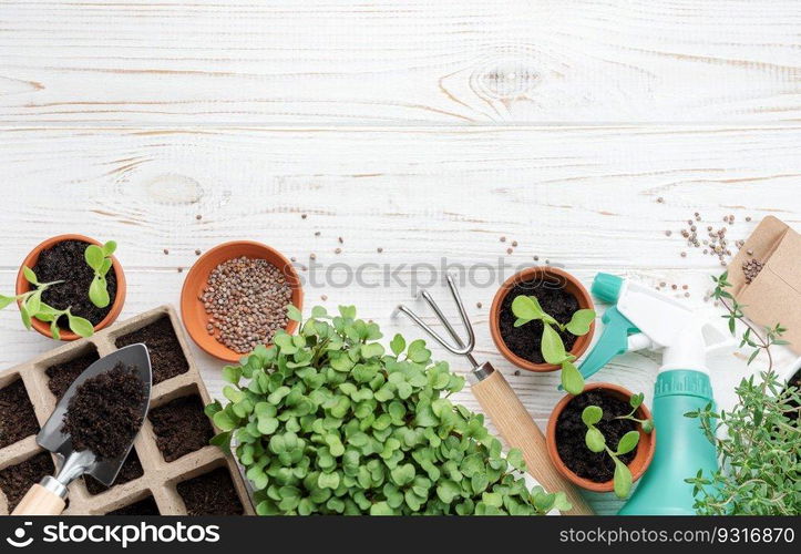 Gardening concept, planting at home.  Set of gardening tools and supplies for sowing seeds