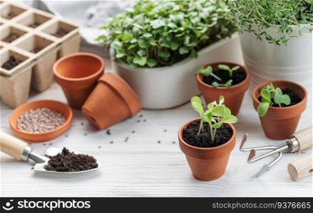 Gardening concept, planting at home.  Set of gardening tools and supplies for sowing seeds
